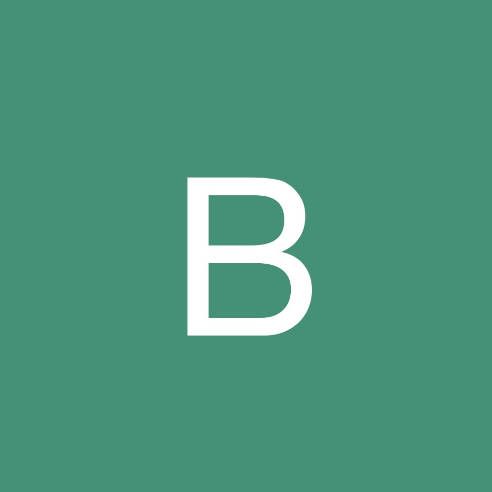 Meet your Posher, Baglady